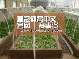 环境展示五