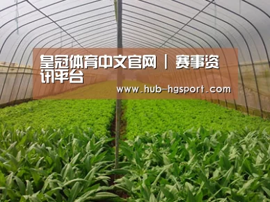 种植基地四
