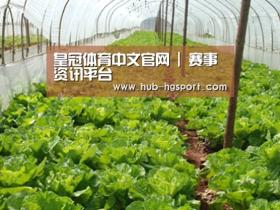 种植基地五