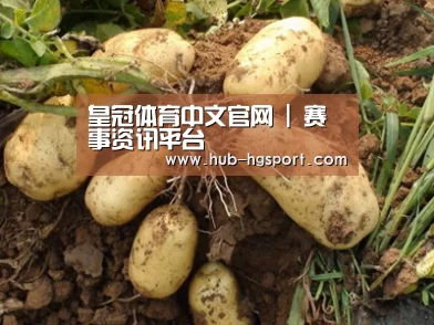 种植基地六
