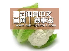 产品名称九