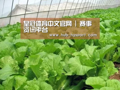 种植基地一