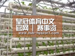 环境展示六