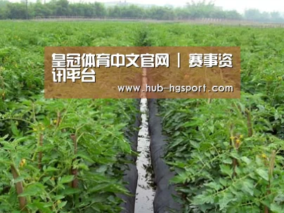种植基地三