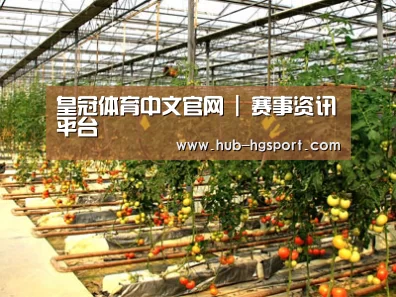 种植基地二