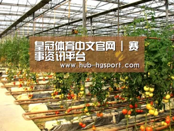 种植基地二(图1)
