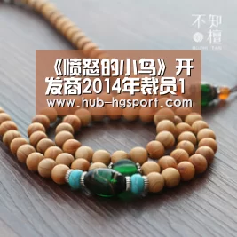 《愤怒的小鸟》开发商2014年裁员110人_皇冠体育官网(图1) 皇冠体育