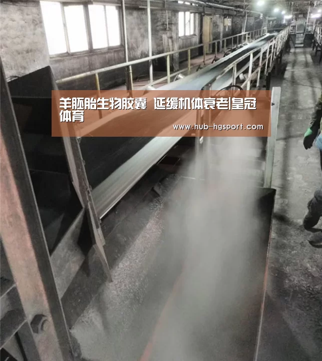 羊胚胎生物胶囊 延缓机体衰老|皇冠体育(图3) 皇冠体育app