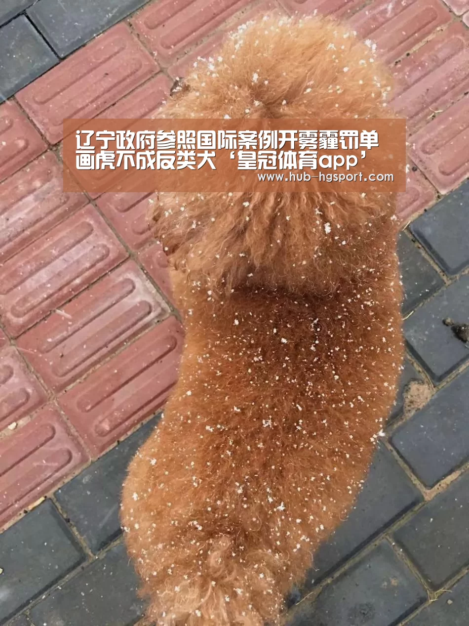 辽宁政府参照国际案例开雾霾罚单 画虎不成反类犬‘皇冠体育app’(图1) 皇冠体育网址