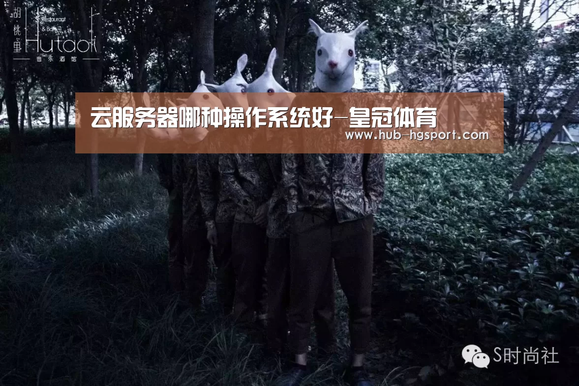 云服务器哪种操作系统好-皇冠体育(图3) 皇冠体育app