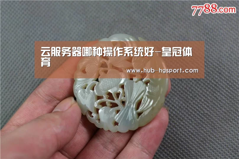 云服务器哪种操作系统好-皇冠体育(图2) 皇冠体育网址