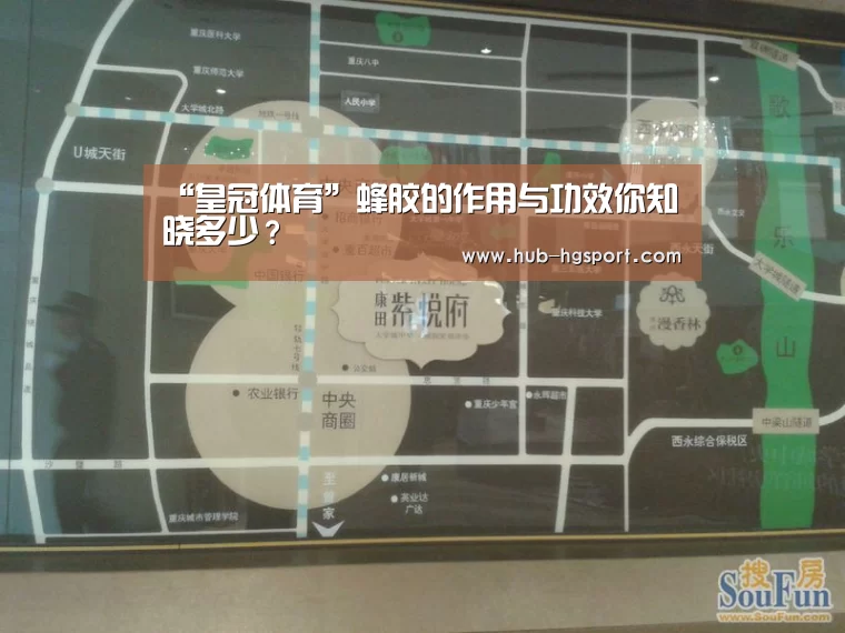 “皇冠体育”蜂胶的作用与功效你知晓多少?(图1) 皇冠体育官网