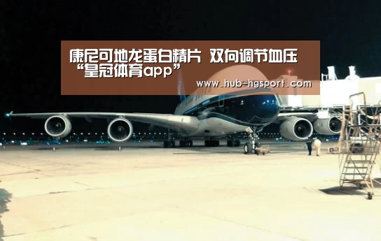 康尼可地龙蛋白精片 双向调节血压“皇冠体育app”(图3) 皇冠体育官网