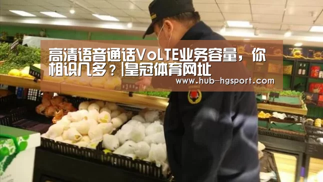 高清语音通话VoLTE业务容量,你相识几多?|皇冠体育网址(图3) 皇冠体育网址