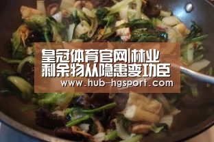 皇冠体育网址