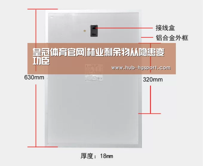 皇冠体育官网