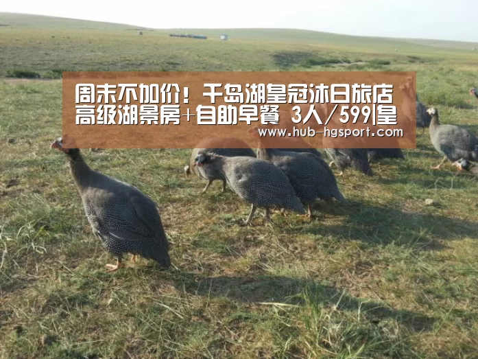 周末不加价!千岛湖皇冠沐日旅店 高级湖景房+自助早餐 3人/599|皇冠体育(图1) 皇冠体育